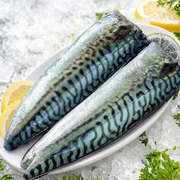 Norwegian Mackerel